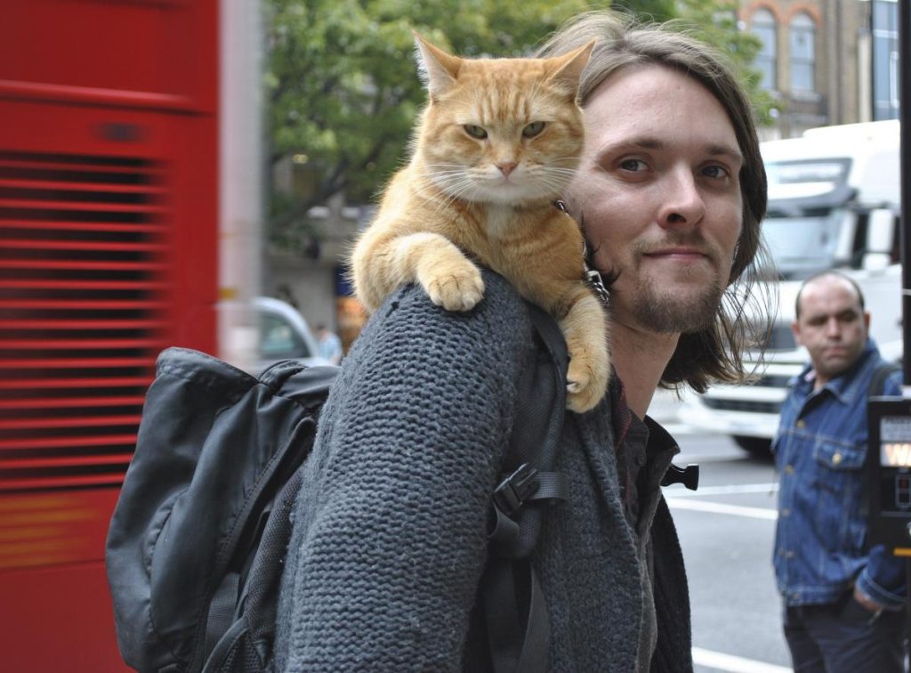 หนังของคนรักแมว A Street Cat Named Bob